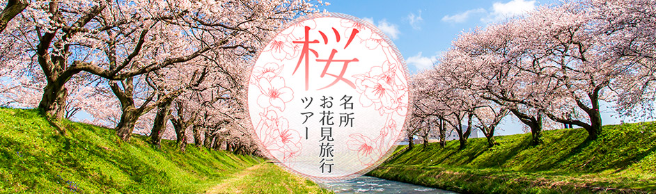 桜特集